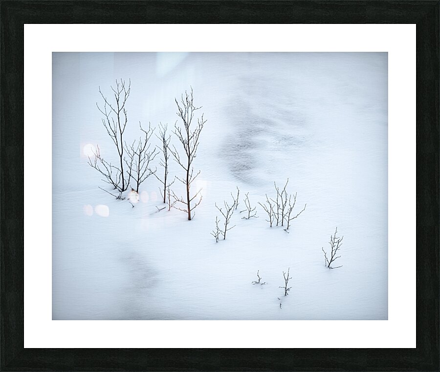 Snowplay Picture Frame print