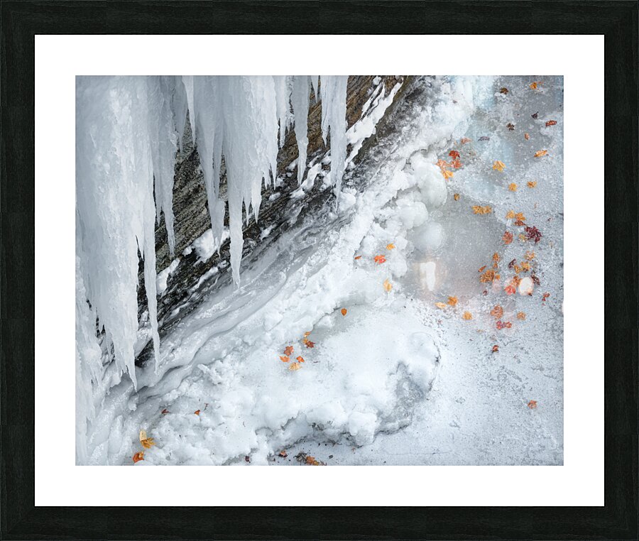 Resilience Picture Frame print