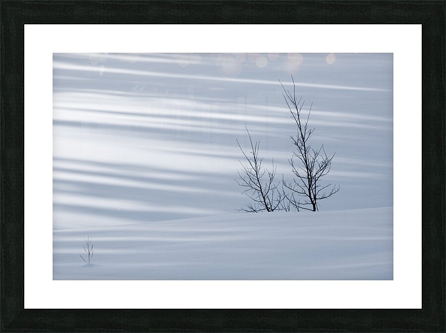 Visiting Picture Frame print