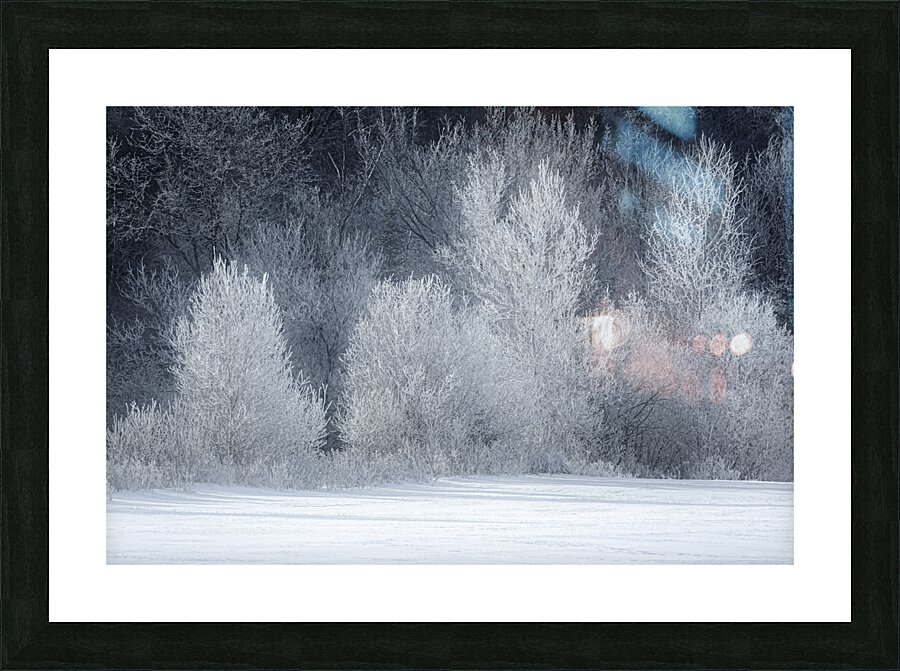 Fleeting Picture Frame print