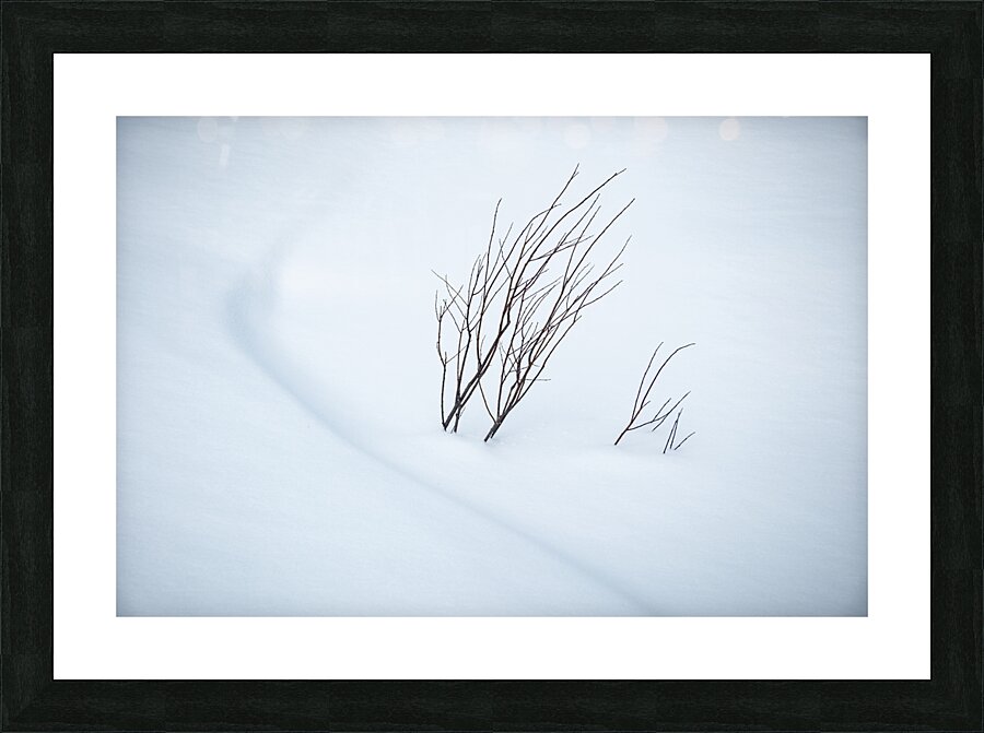 Symphony Picture Frame print