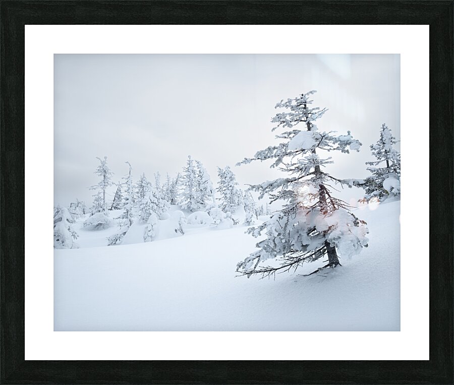 Winterportrait Picture Frame print