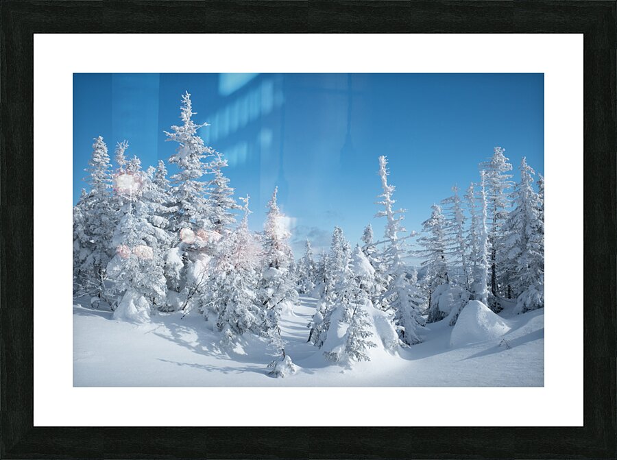 Family Picture Frame print