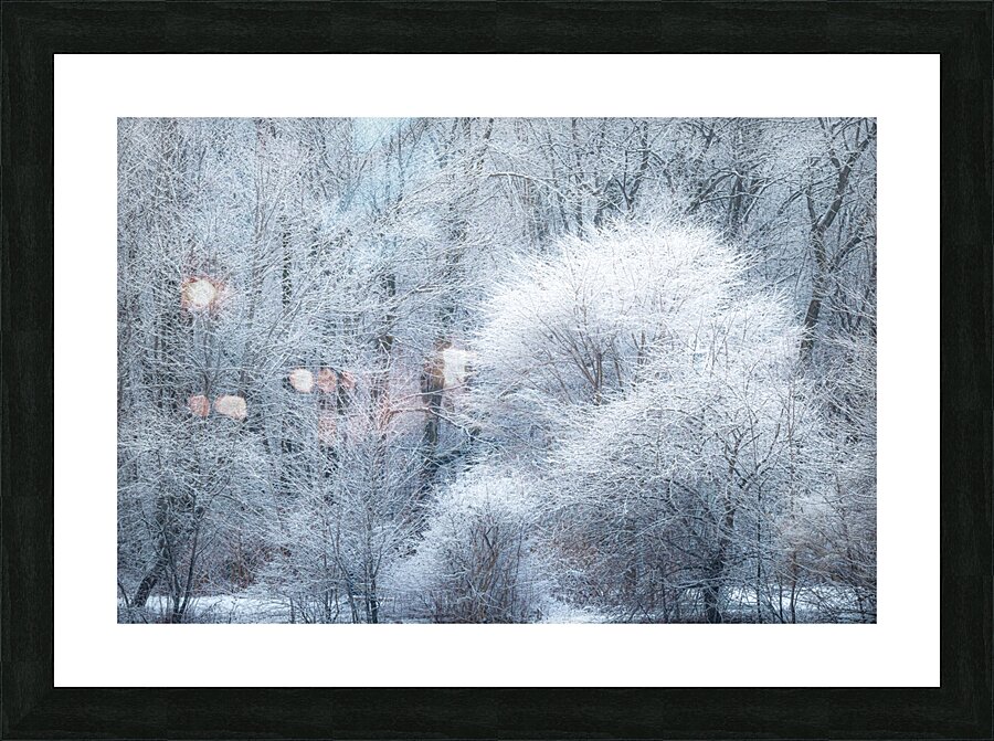 Harmony Picture Frame print