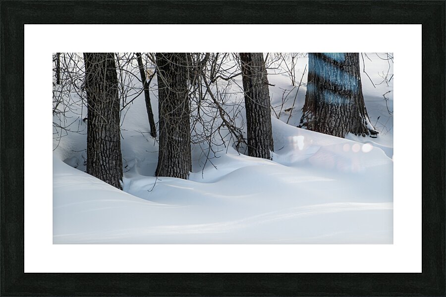 Surrounded Picture Frame print