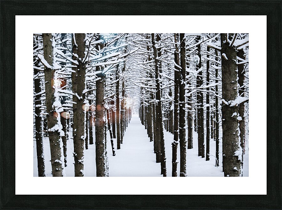 Passage Picture Frame print