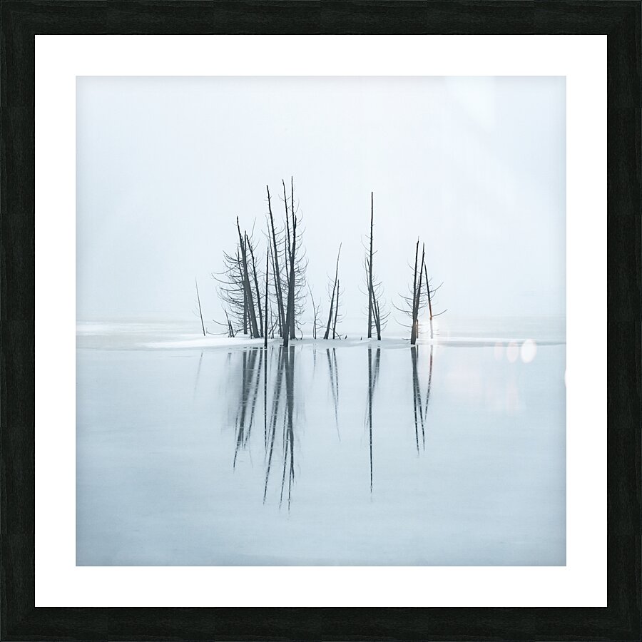 Complementary Picture Frame print