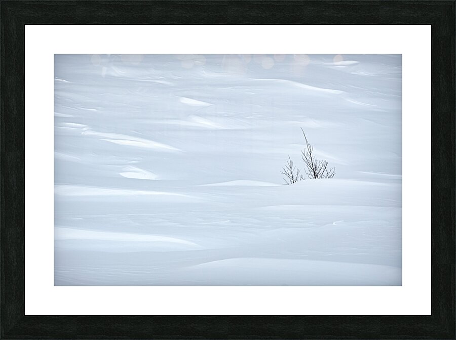 White Picture Frame print