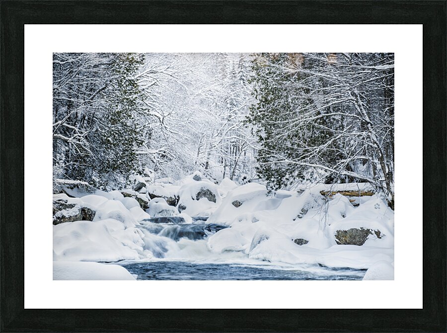 Anticipation Picture Frame print