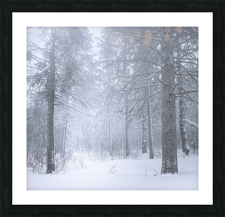Refuge Picture Frame print