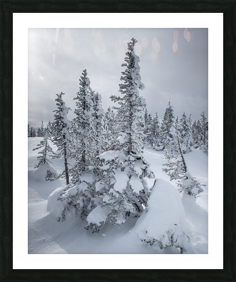 Spolight Picture Frame print