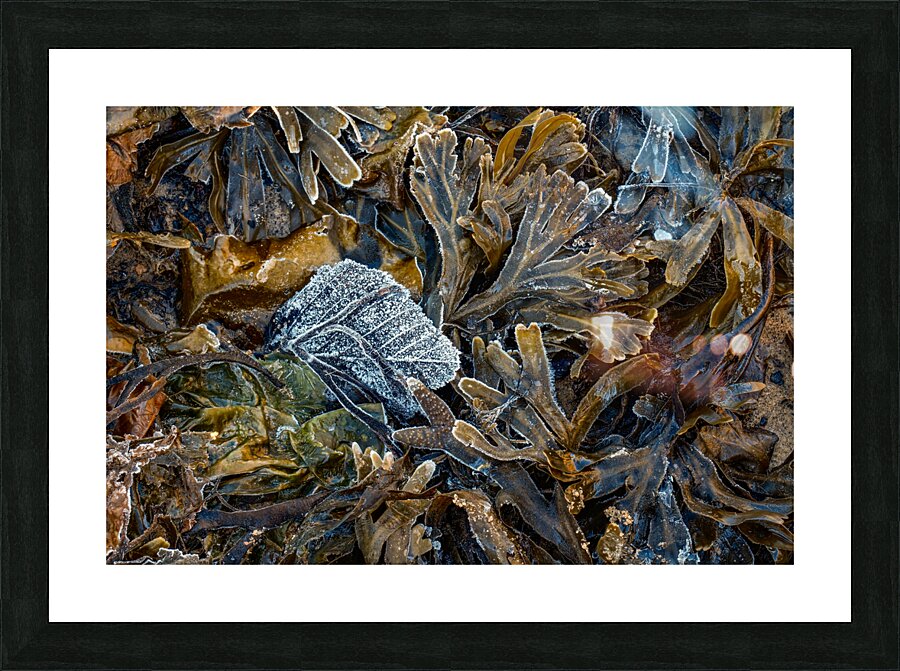 Evidence Picture Frame print