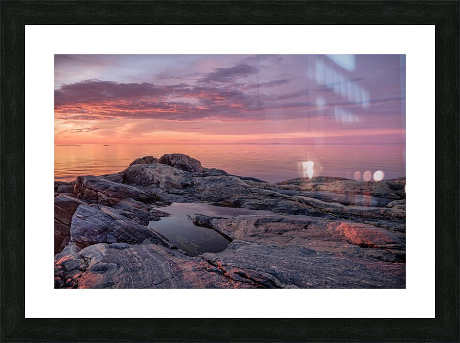 Vibrance Picture Frame print