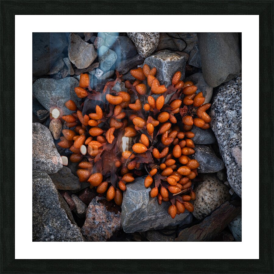 Explosion Picture Frame print