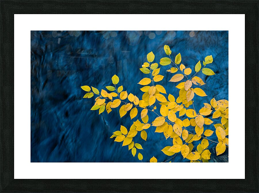 Vertigo Picture Frame print