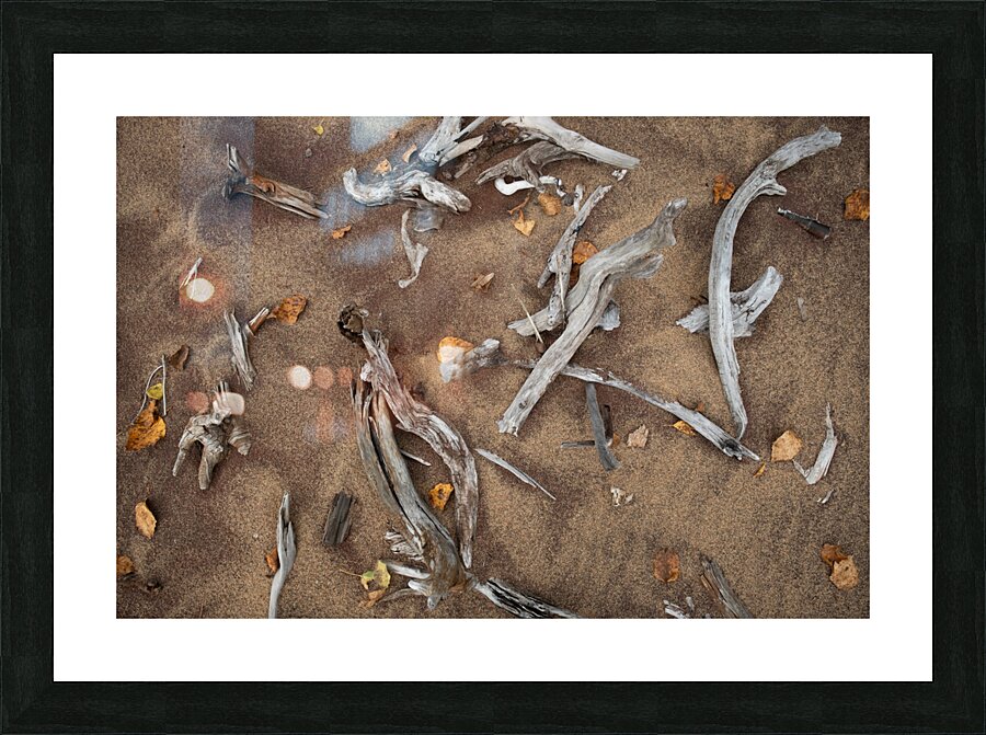 Drifting Picture Frame print