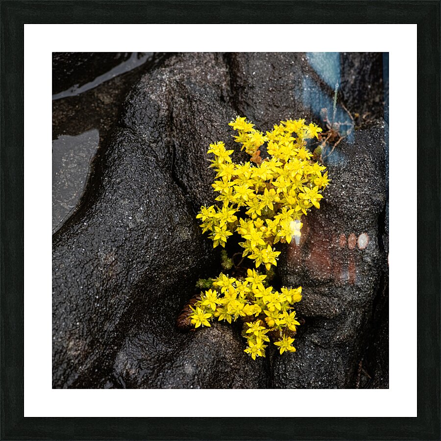 Anomaly Picture Frame print