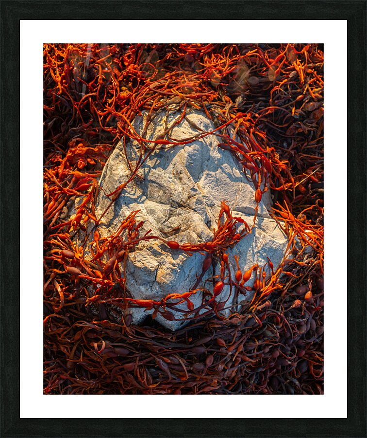 Submerged Picture Frame print