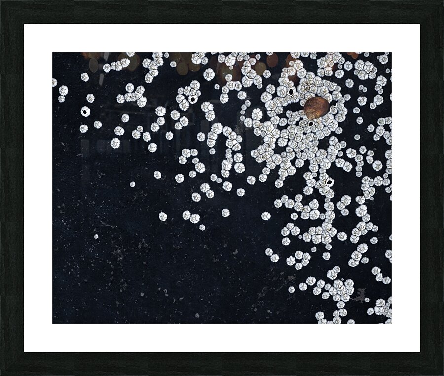 Falling Picture Frame print