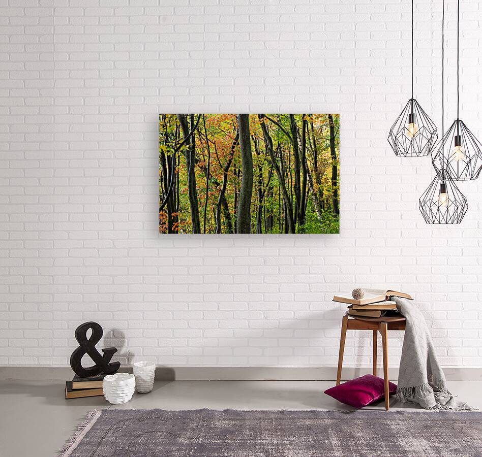 Autumnal Reproduction