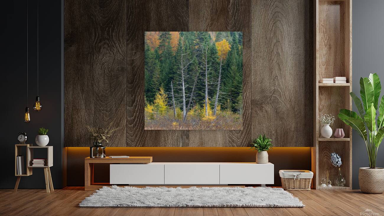 Framed Reproduction