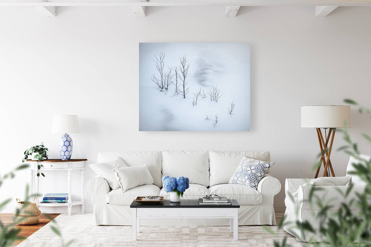 Snowplay Reproduction