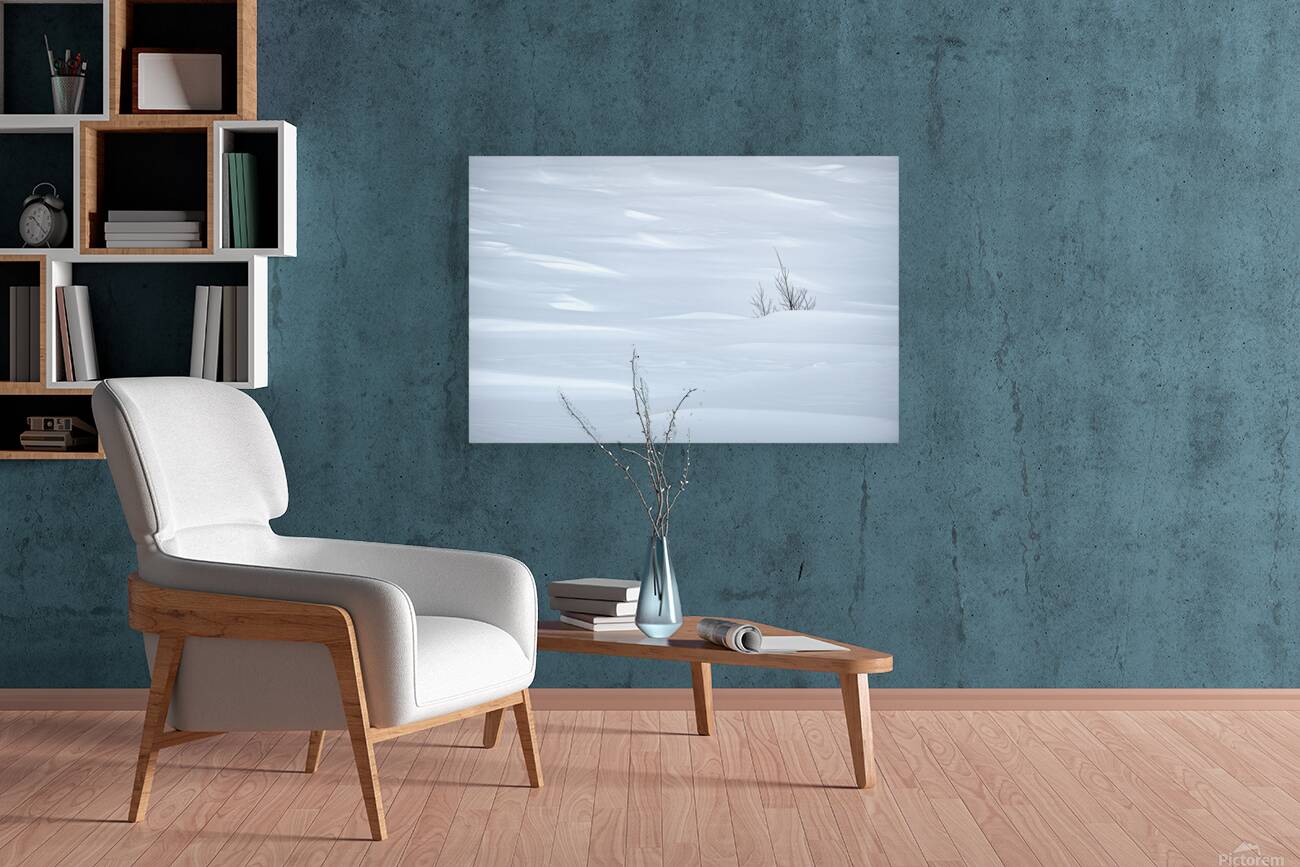 White Reproduction