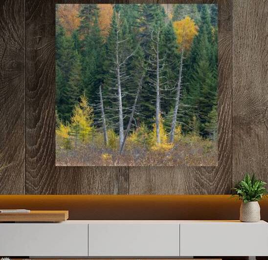 Framed Reproduction