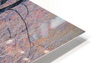 Lethargic HD Metal print