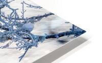 Freeze HD Metal print