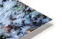 Delicate HD Metal print