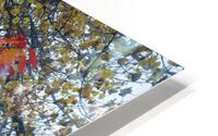 Enchanted HD Metal print
