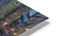 Vibrance HD Metal print
