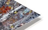 Exploring HD Metal print