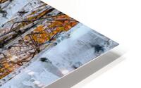 Separation 2 HD Metal print