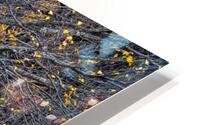 Universe HD Metal print