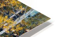 Attraction HD Metal print