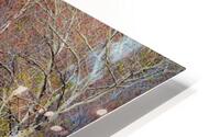 Emergence HD Metal print