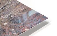 Together HD Metal print