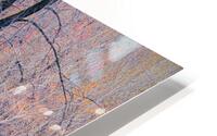 Lethargic HD Metal print
