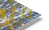 Intricate HD Metal print