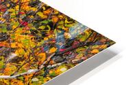 Distinctive HD Metal print