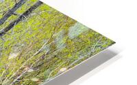 Burgeoning HD Metal print