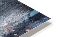 Fleeting HD Metal print