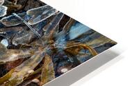 Evidence HD Metal print