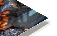 Explosion HD Metal print