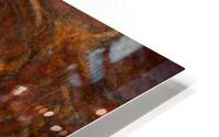 Aquatic HD Metal print