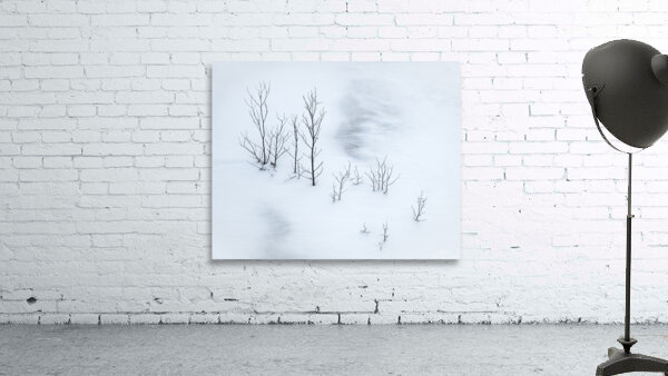 Snowplay Wall Preview