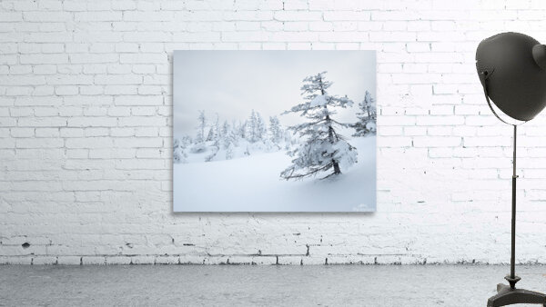 Winterportrait Wall Preview