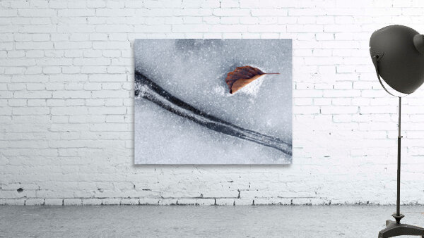 Asleep Wall Preview